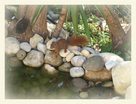 Acc�s place N.D. de la Protection